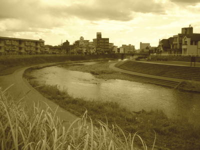 田川沿いの風景