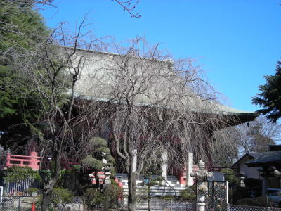 千葉寺・本堂