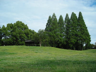 久喜菖蒲公園