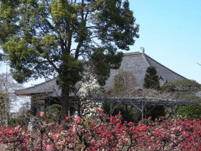 花の寺